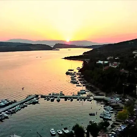 Nizic Lejlighed *